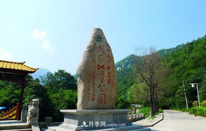 河南五個(gè)綠色“海洋”，在20度的森林中呼吸，讓你流連忘返(圖1)