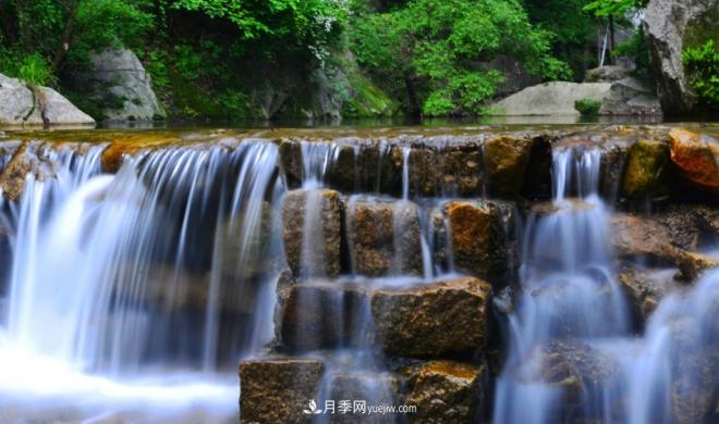河南五個(gè)綠色“海洋”，在20度的森林中呼吸，讓你流連忘返(圖2)
