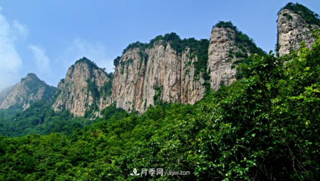 河南五個(gè)綠色“海洋”，在20度的森林中呼吸，讓你流連忘返(圖3)