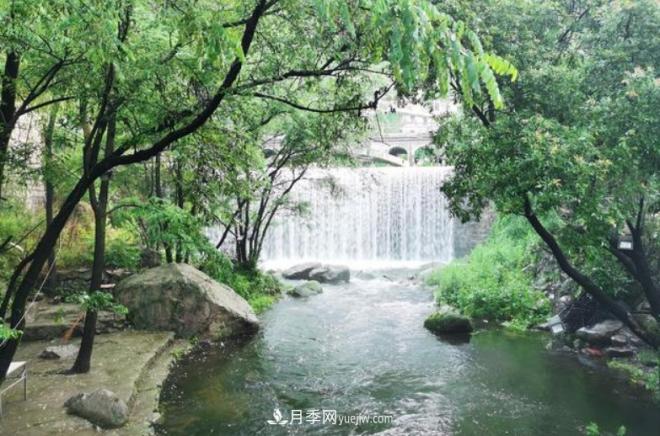 河南五個(gè)綠色“海洋”，在20度的森林中呼吸，讓你流連忘返(圖4)