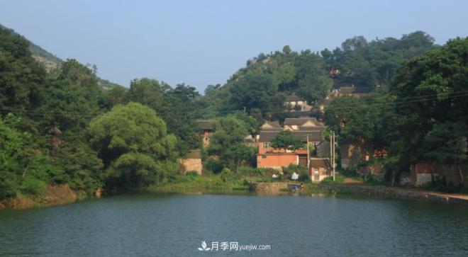 河南五個(gè)綠色“海洋”，在20度的森林中呼吸，讓你流連忘返(圖7)