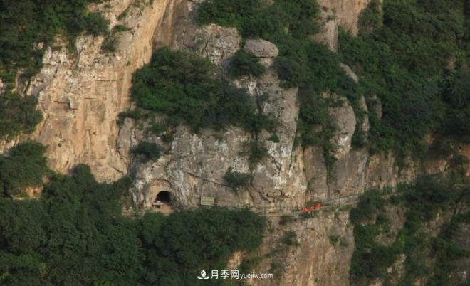 河南五個(gè)綠色“海洋”，在20度的森林中呼吸，讓你流連忘返(圖8)