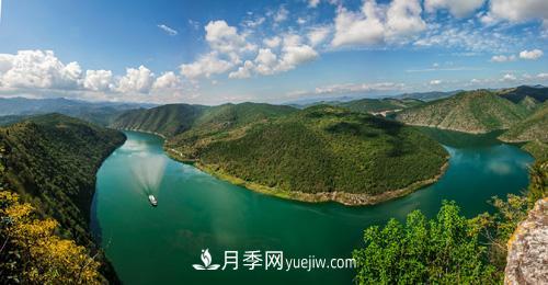 南陽(yáng)淅川上集鎮(zhèn)養(yǎng)雞改種苗木綠化樹 照樣能致富(圖1)