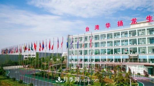 南陽南召縣中國(guó)酵素之都 推進(jìn)大健康產(chǎn)業(yè)發(fā)展(圖2)
