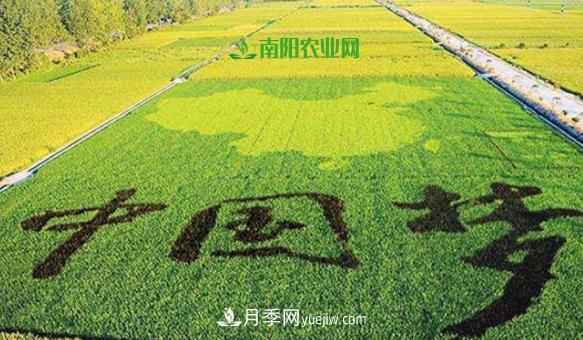 南陽2019年農(nóng)業(yè)十佳產(chǎn)業(yè)基地和扶貧電商都有誰？(圖1)