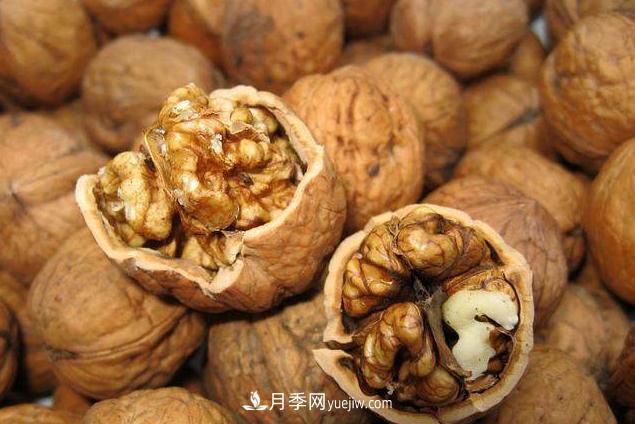 來南陽旅游有什么不得不帶走的十大名優(yōu)特產(chǎn)？(圖5)