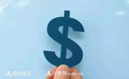 創(chuàng)業(yè)選擇，南陽十大暴利賺錢行業(yè)是指哪些？(圖1)