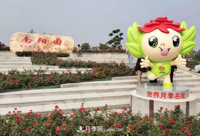 退林還耕政策下不要慌，南陽苗木人需要做好這三件事(圖1)