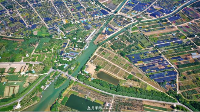 廣東省中山市橫欄鎮(zhèn)，這個(gè)3萬畝的花木之鄉(xiāng)，畝均年產(chǎn)值竟達(dá)10萬元(圖8)