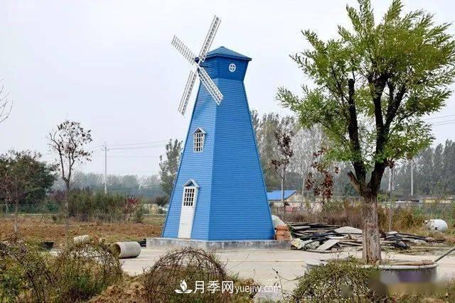 山東滕州北辛街道建成一座月季花海，總占地100畝真漂亮！(圖2)