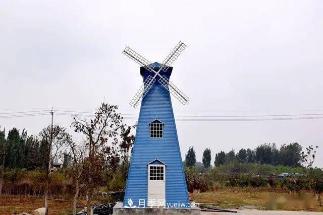 山東滕州北辛街道建成一座月季花海，總占地100畝真漂亮！(圖11)
