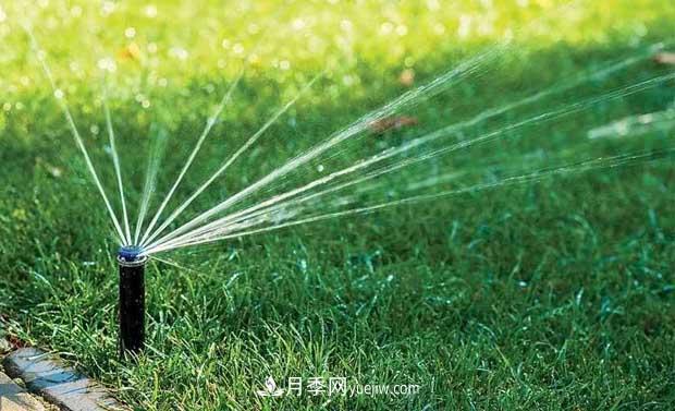 如何延長(zhǎng)綠化草坪綠期，提高園林觀賞價(jià)值(圖1)