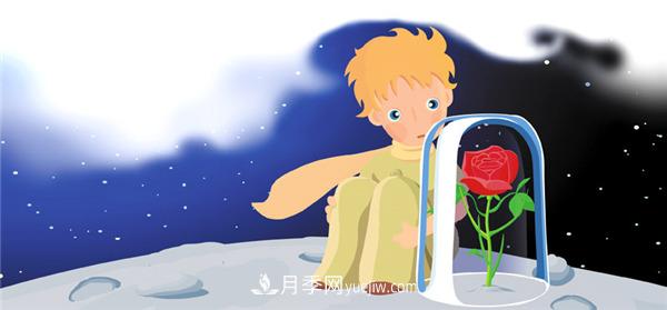 月季為什么是花中皇后？聽(tīng)月季網(wǎng)講故事(圖2)