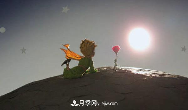月季為什么是花中皇后？聽(tīng)月季網(wǎng)講故事(圖3)