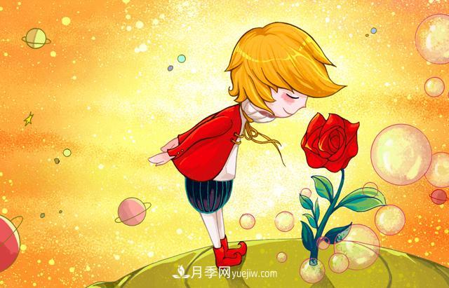 小王子愛的是“月季花”？(圖1)