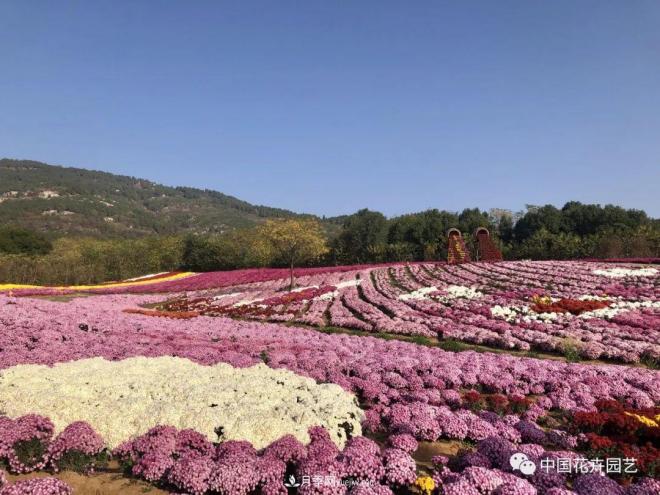 內(nèi)外聯(lián)合，中國(guó)花海探索發(fā)展之道(圖1)