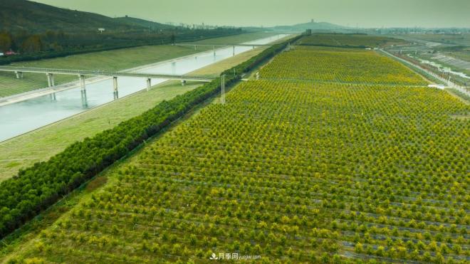 南水北調 秋來渠首 秋綠淅川(圖2) 南水北調 秋來渠首 秋綠淅川(圖2)