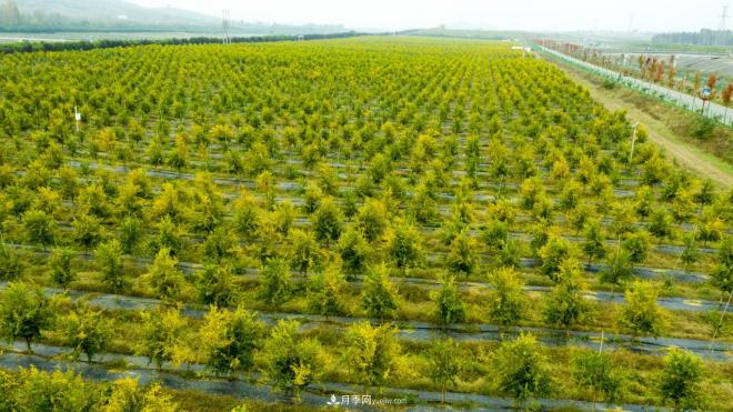 南水北調 秋來渠首 秋綠淅川(圖4) 南水北調 秋來渠首 秋綠淅川(圖4)