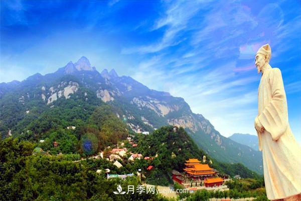 一縣一品公益助農(nóng)，河南南召特色農(nóng)產(chǎn)品辛夷(圖2)