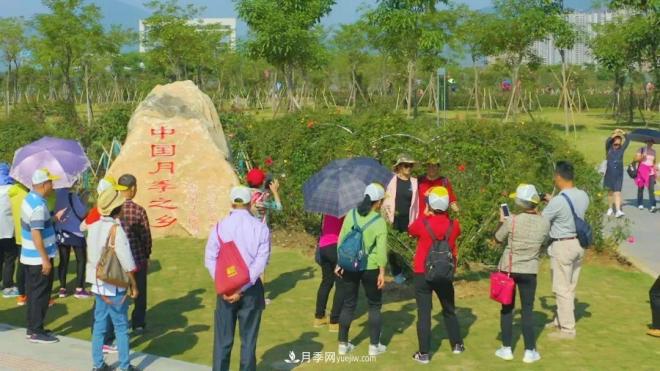 立冬已過，小雪將至~ 肇慶新區(qū)月季園景色獨(dú)好、風(fēng)光別致(圖3)