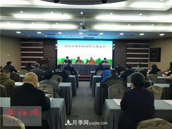 2.2億株！洛陽市可供今冬明春國土綠化使用的苗木種類齊全(圖1)
