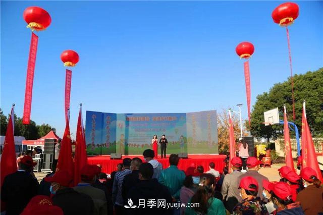 擦亮生態(tài)品牌助力鄉(xiāng)村振興，湖北孝昌苗木花卉產(chǎn)業(yè)發(fā)展綜述(圖1)