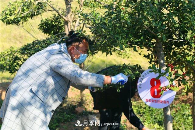 擦亮生態(tài)品牌助力鄉(xiāng)村振興，湖北孝昌苗木花卉產(chǎn)業(yè)發(fā)展綜述(圖2)