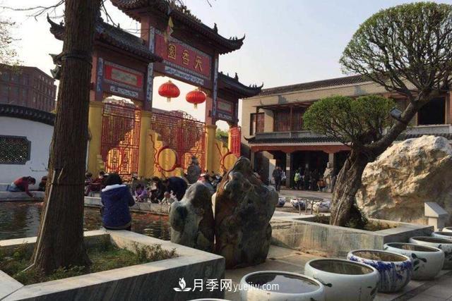 江西南昌天香園走紅，有3萬(wàn)余的盆景，是南昌的“花卉之源”(圖1)