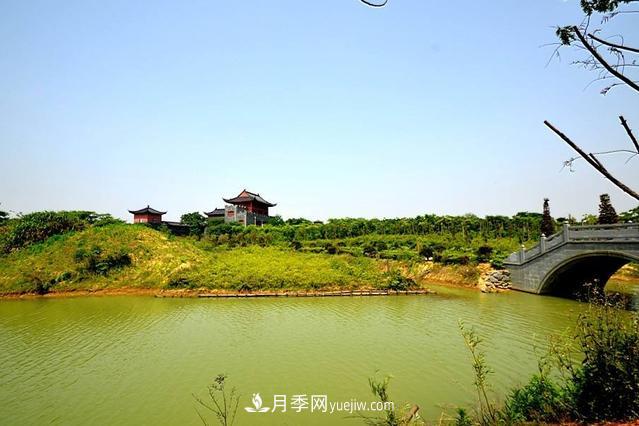 江西南昌天香園走紅，有3萬(wàn)余的盆景，是南昌的“花卉之源”(圖2)