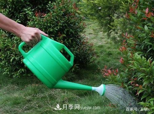 花卉栽培的六大基本工具，你準(zhǔn)備好了嗎？(圖2)