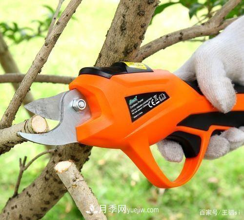 花卉栽培的六大基本工具，你準(zhǔn)備好了嗎？(圖4)