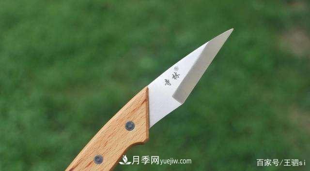 花卉栽培的六大基本工具，你準(zhǔn)備好了嗎？(圖6)