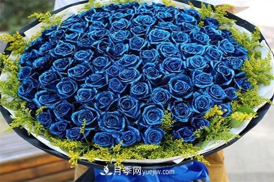 玫瑰花語是什么？盤點五個顏色的玫瑰花語(圖2)