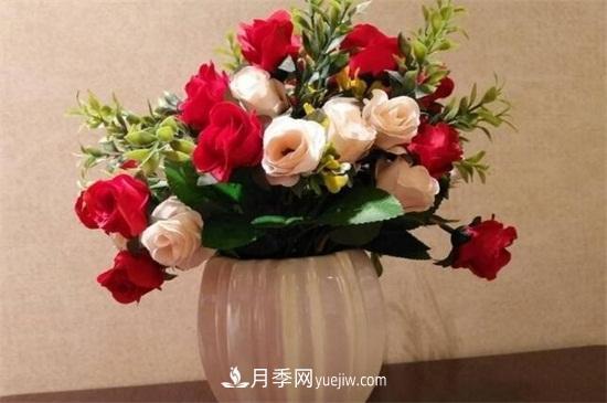 玫瑰花怎么種？玫瑰花種植方法和步驟(圖2)