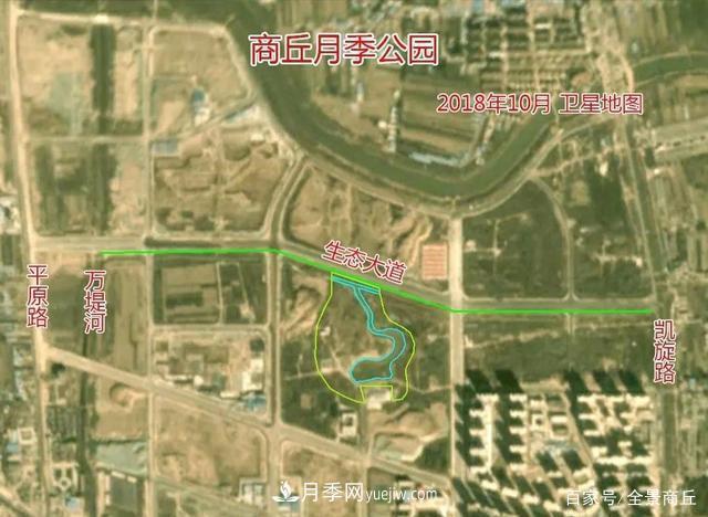 商丘的“市花”和“市樹”是什么，你能想到了(圖2)