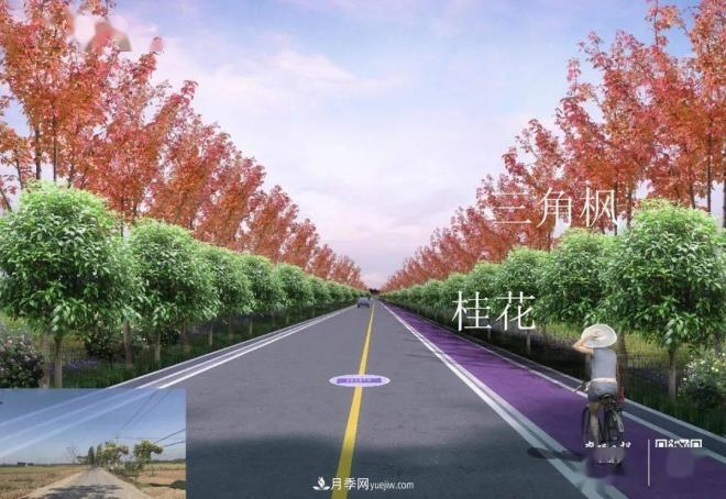 襄陽(yáng)樊城區(qū)景觀“一號(hào)公路”下個(gè)月通車(chē)，顏值驚人！(圖5)