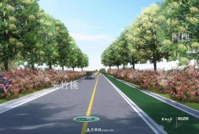 襄陽(yáng)樊城區(qū)景觀“一號(hào)公路”下個(gè)月通車(chē)，顏值驚人！(圖7)