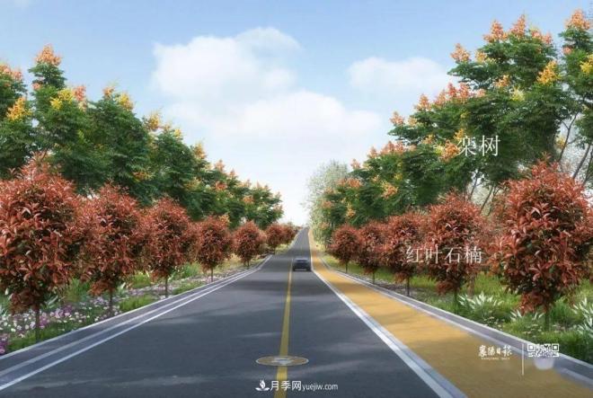 襄陽(yáng)樊城區(qū)景觀“一號(hào)公路”下個(gè)月通車(chē)，顏值驚人！(圖6)