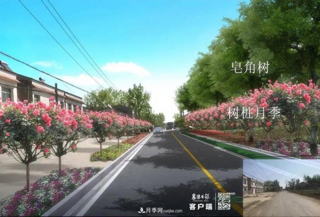 襄陽(yáng)樊城區(qū)景觀“一號(hào)公路”下個(gè)月通車(chē)，顏值驚人！(圖8)