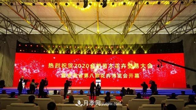 2020合肥苗木花卉交易大會 首次實現(xiàn)“云上辦展”(圖1)
