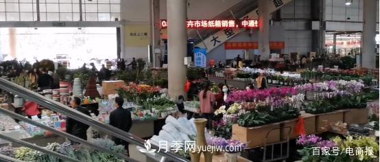 亞洲***大花卉小鎮(zhèn)：昆明斗南玫瑰4毛一支，年銷70億！(圖1)