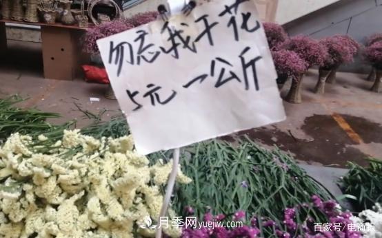 亞洲***大花卉小鎮(zhèn)：昆明斗南玫瑰4毛一支，年銷70億！(圖3)