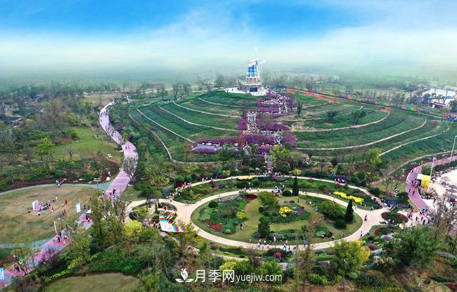 合肥苗交會(huì)簽約77億元，合作成果豐碩(圖3)