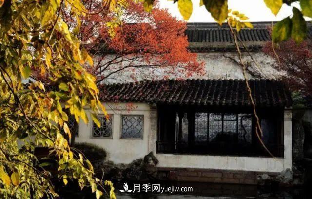 據說中國人每到一個地方，都要去看看當?shù)氐膱@林？(圖1)