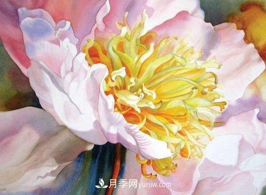 2020-2024年中國(guó)花卉市場(chǎng)發(fā)展預(yù)測(cè)分析(圖1)