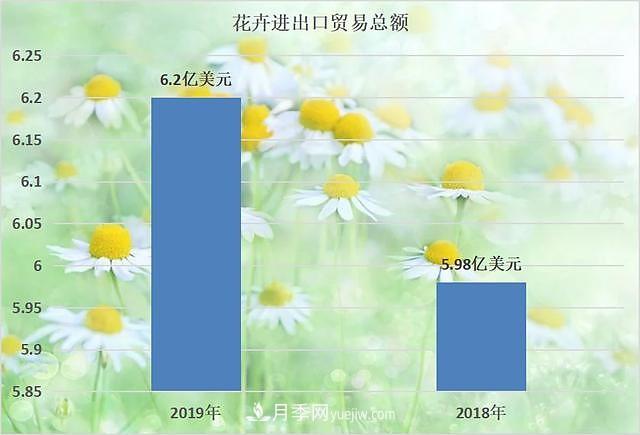 2020-2024年中國(guó)花卉市場(chǎng)發(fā)展預(yù)測(cè)分析(圖2)