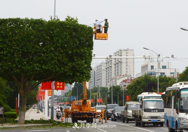 疫情后行情受到壓制，2021年苗木人如何扭轉(zhuǎn)局面(圖2)