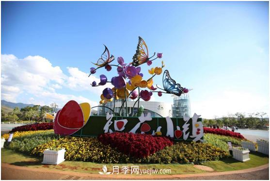 云南打造特色產(chǎn)業(yè)集群 開(kāi)啟花卉世界合作之窗(圖3)