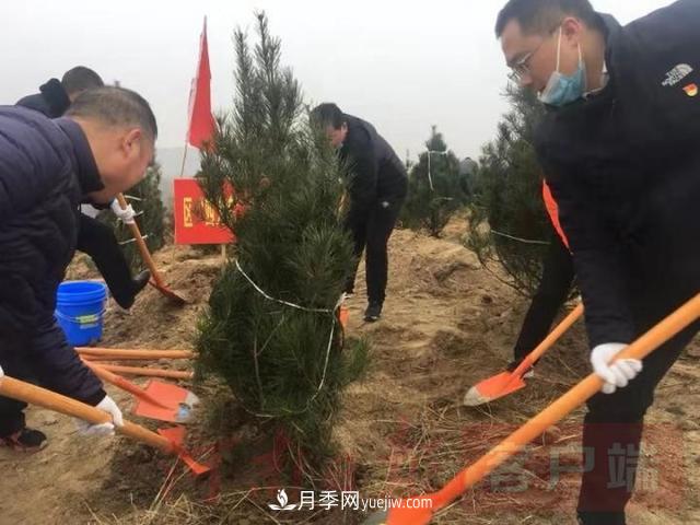 為冬日添新綠！南陽市開展千人義務植樹活動(圖1)