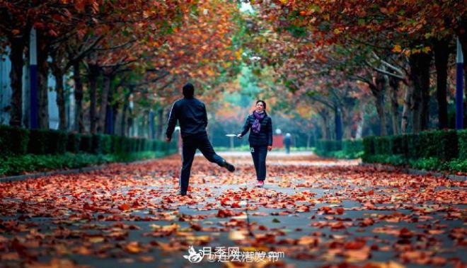 連云港灌云：撩人，滿城風景看不盡(圖3)